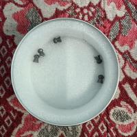 ราคา ตลับบรรจุเม็ดตะกั่ว มีทั้งขนาด ลูกเบอร์1-2-3 (25105152045)