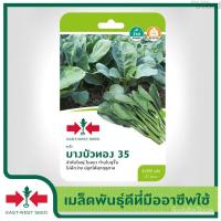 ราคา เมล็ดอวบอ้วน100%East-West Seed เมล็ดพันธุ์คะน้า (Kale seeds) บางบัวทอง 35 เมล็ดพันธุ์ผัก เมล็ดพันธุ์ ผักสวนครัว ตราศรแดง (14289804340)