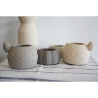 ราคา กระถางแคคตัส กระถางเซรามิก (7734765320)