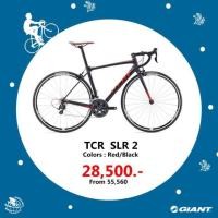 ราคา จักรยานเสือหมอบ Giant TCR SLR2 (2589353930)