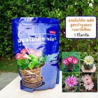 ราคา ปุ๋ยออสโมโค้ท-พลัส สูตร 12-25-6+1% แมกนีเซียม (สูตรบำรุงดอก) ขนาด 1 กิโลกรัม (15923144076)
