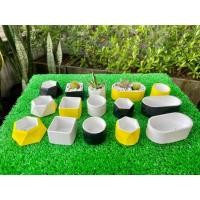 ราคา กระถางแคคตัส กระบองเพชร ไลทอป กระถางปูน DIY 1.5 นิ้ว (10144856060)