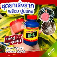 ราคา ปูนแดง (Red Lime) + ยาเร่งราก บีวัน B-1 ปูนทาแผลต้นไม้ ทาแผลต้นไม้ ทำขนม กินกับหมากพลู ล้างผักผลไม้ เร่งราก เร่งดอก ยอด (12286632883)
