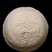 ราคา ลูกอมมหาลาภเนื้อผง ปี 2517 สภาพดี (6037999585)