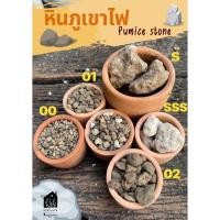 ราคา (1kg) หินภูเขาไฟ Pumice stone พัมมิส หิน ภูเขาไฟ หินลาวา วัสดุปลูก ดินปลูก ผสมดินปลูก (13127560122)