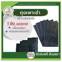 ราคา ส่งด่วน! ถุงเพาะชำ เพาะกล้า เจาะรู เพาะกล้าไม้ ถุงดำเพาะต้นไม้ ถุงปลูกต้นไม้ ถุงดำเพาะชำ คุณภาพดี แบ่งขาย (21126842937)