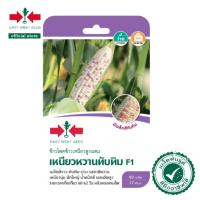 ราคา ศรแดง เมล็ดพันธุ์ข้าวโพดข้าวเหนียวF1เหนียวหวานทับทิม (East-West Seed) เมล็ดพันธุ์ ผักสวนครัว ตราศรแดง (23142102869)