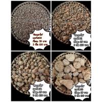 ราคา หินภูเขาไฟ Size 00,02 น้ำหนัก 1 กิโล หินภูเขาไฟ Pumice (พัมมิส) (3781045583)
