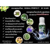 ราคา แชมพูสมุนไพร HERBAL PERFECT BY WARU (723673305)