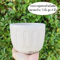 ราคา แบบนี้มีร้านเดียว กระถางปูนเปลือย กระถางแคคตัส กระถางปูน กระถางกระบองเพชร กระถางต้นไม้ กระถางไม้มงคล กระถาง กระถางต้นไม้ (7380777247)