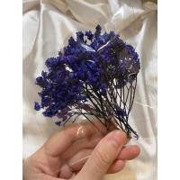 ราคา กลีบดอกไม้แห้ง ดอกสุ่ยสีน้ำเงิน (2938324682)
