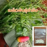 ราคา เมล็ดตำลึง ราคา 20บาท ซองละ 60เมล็ด (6448965462)