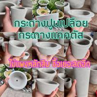 ราคา กระถางปูนเปลือย กระถางแคคตัส กระถางต้นไม้ ไม่แพงมีราคาส่ง (6046673020)