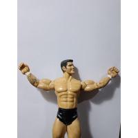 ราคา WWE randy orton (โมเดล) (17462463603)