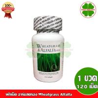 ราคา ผักเม็ด อาร์มสตรอง Wheatgrass Alfalfa ArmStrong (1 ขวด 120 แคปซูล) (443710023)