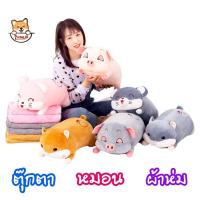 ราคา หมอนผ้าห่ม ตุ๊กตา หมู หนู แฮมเตอร์ ผ้าห่มนาโน 1 x1.6 m ตุ๊กตายาว ≈ 45 cm หมอนตุ๊กตาลายปักอย่างดี ผ้านุ่มมาก doll ZumoIX (22320727639)