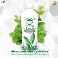 ราคา *สินค้าพร้อมส่ง* การันตีของแท้ พีเอชเอชพี ไฟโต คลอโรฟิลล์ PHHP Phyto Chlorophyll ( ขนาด 500มล. ) (22659346852)