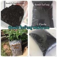 ราคา ดินหมักใบก้ามปูผสมอินทรีย์ชนิดไม่ร่อน (2919865887)