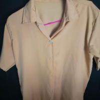 ราคา เสื้อเชิ้ตสีครีมครีมเเถ (2123813065)