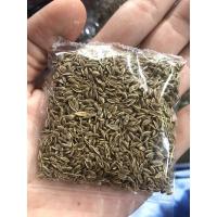 ราคา เมล็ดผักชีลาว#ผักชีลาว (12326148971)