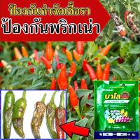 ราคา ยาป้องกันโรคพืช ใช้ควบคุมโรคเน่า โรคราน้ำค้าง โรคกุ้งแห้ง ยาแก้พริกใบหงิก ยาฉีดพริกเน่ายาเชื้อราพริก ยาเชื้อราในพริก (18583377200)