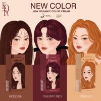 ราคา พร้อมส่ง สีย้อมผม 3 สีใหม่ ORANGE สีย้อมผมออแกนิก KOTA COSMETICS (18977709639)