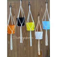 ราคา เชือกแขวนกระถางต้นไม้-ยกset-กระถางต้นไม้แบบแขวน_กระถาง4นิ้ว (9372852805)