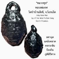 ราคา หมากทุย, หลวงพ่อยศ วัดป่าบ้านสังข์, จ.ร้อยเอ็ด Holy Betel Nut by LP.Yot Wat Pa Ban Sang, Roi Et Province. (18978021319)