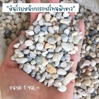 ราคา พร้อมส่ง! หินโรยหน้ากระถาง หินกระถาง หินโรยกระถาง หินโรย โทนสีขาวฟ้า (11416493914)