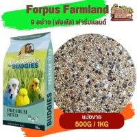 ราคา Farmland Forpus อาหารธัญพืช 9 อย่าง ฟาร์มแลนด์ (แบ่งขาย 500G / 1KG) เหมาะสำหรับ นกหงยกษ์ เลิฟเบิดร์ ฟอพัส (23065495571)