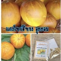 ราคา เมล็ดพันธุ์ แตงไทยสีทอง ลูกกลม แตงไทย (ซื้อ 10 แถม 1 คละอย่างได้) (10025554869)