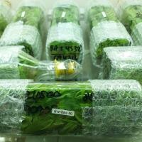 ราคา กล้วยเพาะเนื้อเยื่อปากช่อง50 ไข่เกษตร2 ×40ต้น (15455568524)