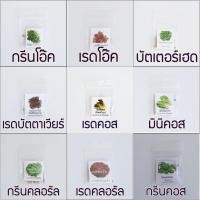 ราคา เมล็ดพันธุ์ผักสลัด แบบเคลือบ 9 ชนิด สุดคุ้ม (1308159542)