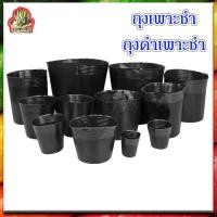 ราคา ถุงดำเพาะชำ ถุงเพาะกล้า ถุงเพาะ 6 นิ้วถุงปลูกต้นไม้ ถุงเพาะชำต้นไม้ถุงปลูกดอกไม้ ถุงพลาสติก (9671169748)