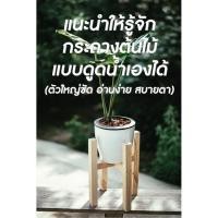ราคา [ขายขาดทุน!!!] กระถางต้นไม้แบบดูดน้ำเองได้ (9323545172)