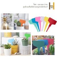 ราคา ป้ายชื่อต้นไม้แพ็คละ 6*10cm 20/50/100 ชิ้น (พร้อมส่ง) ป้ายชื่อพลาสติก PVC ป้ายต้นไม้ สวน เมล็ดพันธุ์ ป้ายชื่อพลาสติก (19679974044)