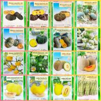 ราคา เมล็ดพันธุ์ผัก เจียไต๋ ผักซอง ทองอำไพ ทองอำพัน ฟักทองศรีเมือง ฟักทองบึงกาฬ เมล่อน หน่อไม้ฝรั่ง บัตเตอร์นัท แคนตาลูป (3734574077)