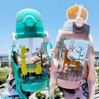 ราคา กระติกน้ำ กระติกใส่น้ำ เด็ก นักเรียน 500 มล (4859055683)