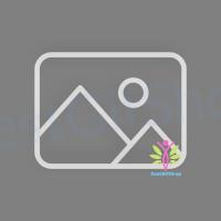 ราคา BestGifshop เครื่องกรองน้ำSAFE (ฟ้า) รหัส 37026 (21610526125)