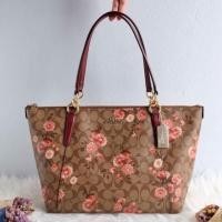 ราคา AVA TOTE IN SIGNATURE CANVAS WITH PRAIRIE DAISY CLUSTER PRINT (COACH F76677) (2864917126)