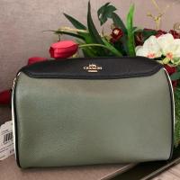 ราคา Coach หมอนไม่มีหู มินิ ของแท้ 100% (4308358092)