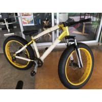 ราคา จักรยาน FAT BIKE สีทอง (832371768)