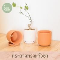 ราคา กระถางดินเผา กระถางแคคตัส กระถางต้นไม้ กระถาง กระถางมินิมอล (11624771264)