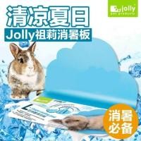 ราคา Jolly L Shape Cooling Pad แผ่นเย็นรูปตัวแอล ล็อกติดกรงได้ สำหรับ กระต่าย ชินชิล่า หนูแกสบี้ (JP298) (6800956479)