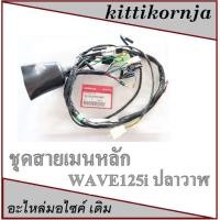 ราคา ชุดสายไฟ มอไซค์ ชุดสายไฟทั้งคัน สายไฟชุด พร้อมใส่ Honda Wave125S ปี 2005 ( สตาร์ท เท้า และ มือ ) เวฟ125s ปี2005ตัวคาร์บู (11916170212)