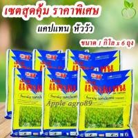 ราคา เซตคุ้ม แคปแทน หัววัว ขนาด 1 กิโล x 6 โล ยากันราแคปแทน เอ็มซีแคปแทน แก้เชื้อราในพืช ยาเชื้อราในพืช แคปแทน80 (23985955401)