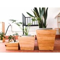 ราคา กระถางต้นไม้กระถางใส่ต้นไม้ (13149791750)