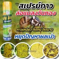 ราคา สเปรย์ล่อแมลงวันทอง ฟลายสเปรย์ สเปรย์กาว กาวดักแมลง สารล่อแมลงวันทอง สเปรย์ดักแมลงวันทอง แมลงวันผลไม้ 600ml. (24017443600)