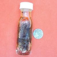 ราคา ว่านดอกทองเครือเขาหลงแช่น้ำมัน (4538257869)