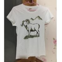 ราคา เสื้อDefry01แท้มือสอง (2617283008)